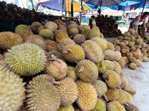 medan banjir buah durian