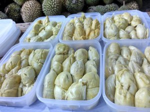 durian kupas fresh