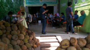 ucok durian medan