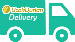 delivery durian jakarta